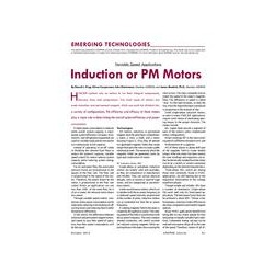 Emerging Technologies: Induction or PM Motors